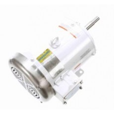 DURST 沖洗泵電機132444.00系列