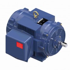 DURST 消防泵電機U541系列