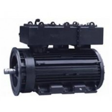 rotor nl 水下電機IP68系列