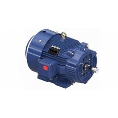 marathon motors 防滴漏電機C面剛性系列