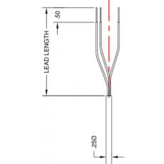 THERMO ELECTRIC 現(xiàn)場可調(diào)探頭系列