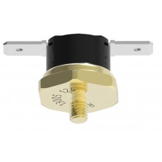 MICROTHERM 恒溫器R25A系列