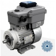 意大利MOTOVARIO 變頻電機DRIVON系列