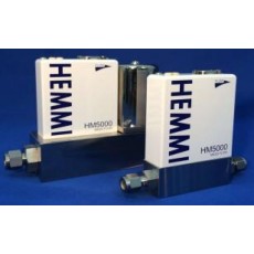 HEMMI 通用/高性能質(zhì)量流量HM5000系列