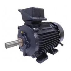 US MOTORS IEC 電機系列