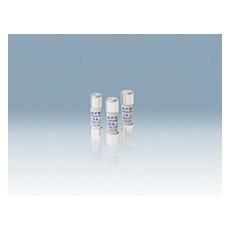 EFEN 直流熔斷器 10 X 38系列