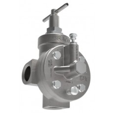 GRACO 3/4 英寸 NPT 泵失控閥系列