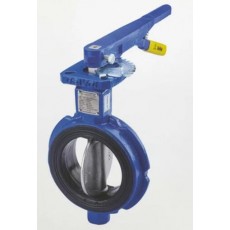 HYDROSERVICE 彈性閥座短頸蝶閥59 系列