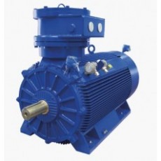 MarelliMotori 電機(jī)D5H系列