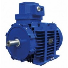 MarelliMotori 電機(jī)D5Y-D6Y-D5V系列