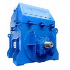 MarelliMotori 發(fā)電機(jī)MJRM系列