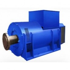 MarelliMotori 發(fā)電機(jī)MJBM系列