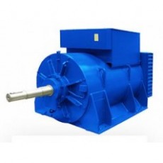 MarelliMotori 發(fā)電機(jī)MJT系列