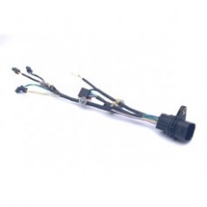Amphenol AUTOMOTIVE 變速箱線束24系列