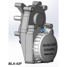 Merkle-Korff 無刷直流減速電機BLA-42F