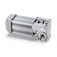 MINI MOTOR 無端螺旋齒輪馬達系列