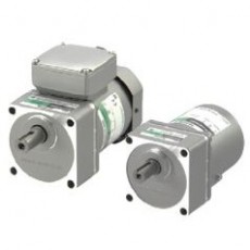 Orientalmotor 電動(dòng)機(jī)AC系列小型標(biāo)準(zhǔn)電動(dòng)機(jī)
