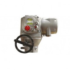 BIFFI 電動執(zhí)行器 F01系列