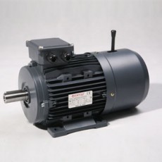 TECHTOP 異步三相制動電動機MSB 系列