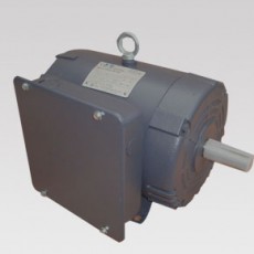 TECHTOP 單相軋制鋼架 ODP 電機SLD系列
