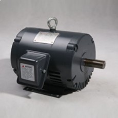 TECHTOP 軋制鋼框架三相 ODP 電機TD 系列