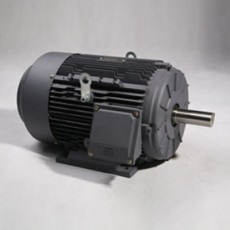 TECHTOP **三相電機TFA系列