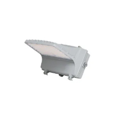 Dialight LED壁燈DuroSite系列