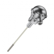 RECKMANN 大型熱電偶AKK 型系列