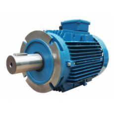 UNIVERSAL MOTORS 電動機(jī)自定義執(zhí)行系列